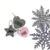 Personalized Pet ID Tags with name and phone number