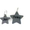 Small and large pet ID tags in star